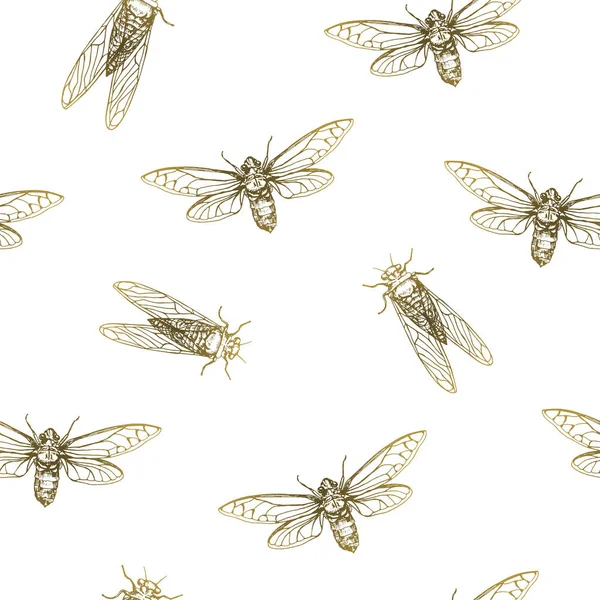 Vektör Çizim Ağustos Böcekleri Vektör Kalem Tarzı Kroki Dikişsiz Desen — Stok Vektör