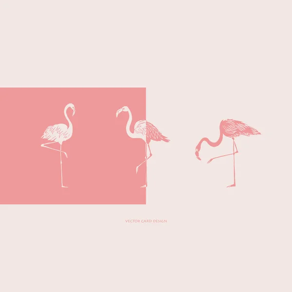 Vektorillustration Flamingos Silhouetten Vektorkarte Cover Design — Stockvektor