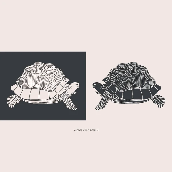 Vektorillustration Schildkrötensilhouette Vektorkarte Cover Design — Stockvektor