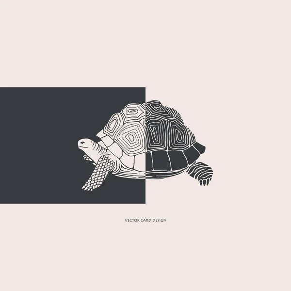 Ilustración Vectorial Silueta Tortuga Tarjeta Vectorial Diseño Cubierta — Vector de stock