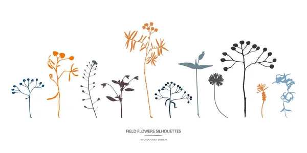 Collection Silhouettes Vectorielles Ensemble Fleurs Champ Herbes — Image vectorielle