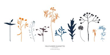 Vector silhouettes koleksiyonu. Alan çiçekler, otlar kümesi.