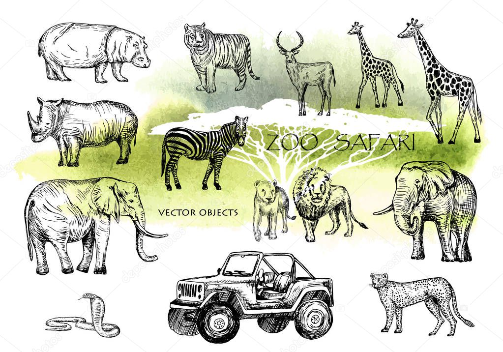 Vector hand drawn sketched animal set. Zoo safari: elephant, zebra, lion, rhino, giraffe , hippo, snake, leopard, tiger, antelope and safari jeep. Pen style vector. Watercolor style safari background.