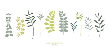 Vector silhouettes koleksiyonu. Alan çiçekler, otlar kümesi.