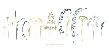 Vector silhouettes koleksiyonu. Alan çiçekler, otlar kümesi.