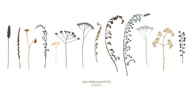 Vector silhouettes koleksiyonu. Alan çiçekler, otlar kümesi.