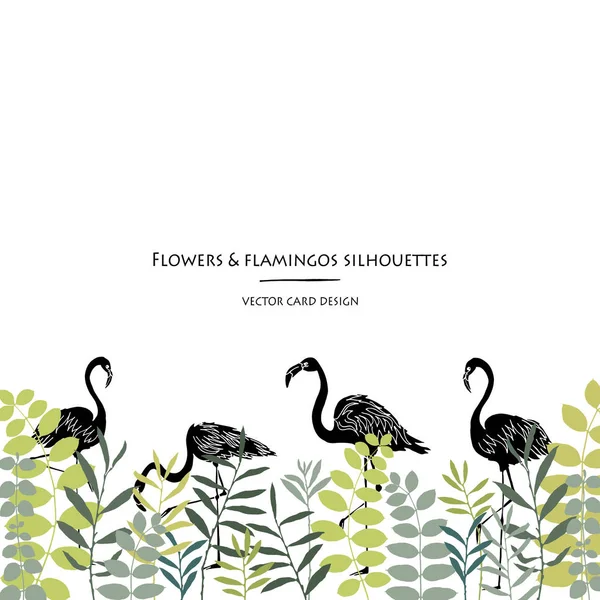 Collection Silhouettes Vectorielles Ensemble Fleurs Champ Herbes Flamants Roses Design — Image vectorielle