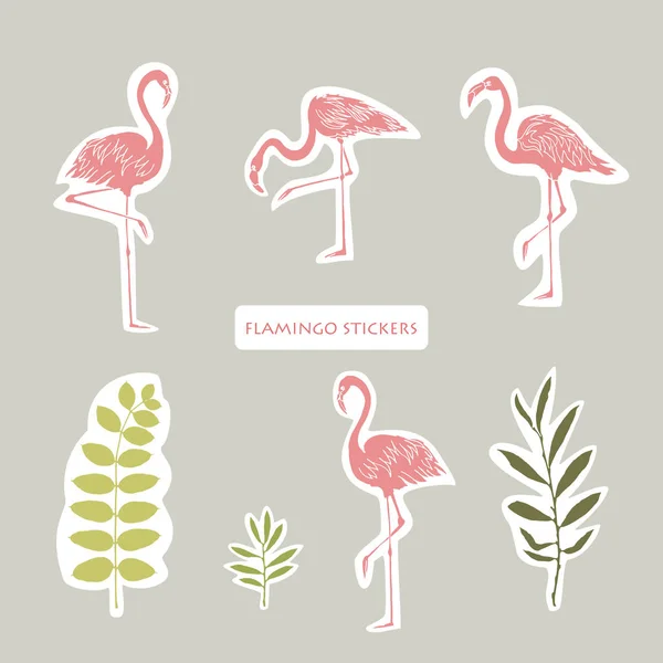 Vektorobjekte Flamingos Und Blätter Gesetzt Aufkleber Gestalten Sommerfarben — Stockvektor