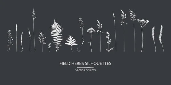 Colección Siluetas Vectoriales Conjunto Flores Campo Hierbas — Archivo Imágenes Vectoriales