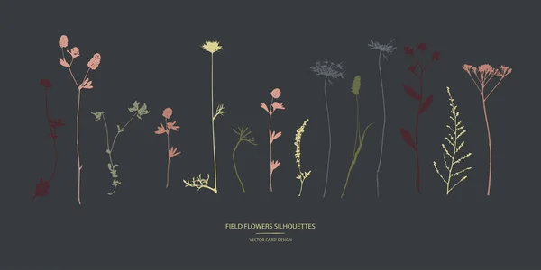 Collection Silhouettes Vectorielles Ensemble Fleurs Champ Herbes — Image vectorielle