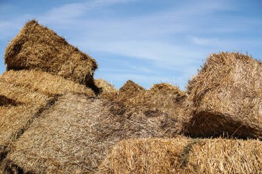 Mavi gökyüzü arka plan üzerinde hayvanları beslemek için saman yığınları