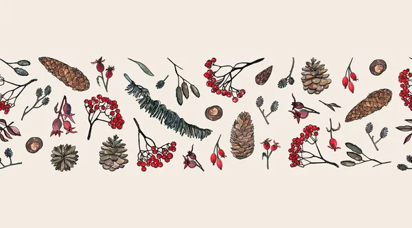 Elementos de la naturaleza: Hojas, ramas de fresno, cono de pino, escaramujos — Vector de stock