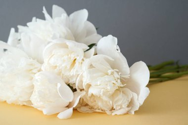 Sarı ve gri arka planda beyaz kabarık çiçek buketi