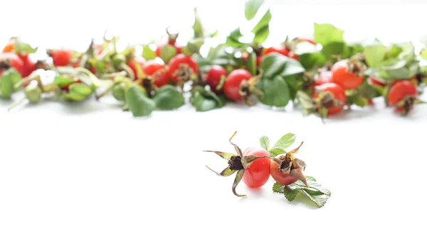 Rosas Selvagens Quadris Com Folhas Verdes Com Fundo Natural Desfocado — Fotografia de Stock