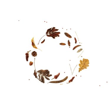 Sonbahar yaprakları kompozisyonu. Beyaz arkaplanda güzel bir çelenk taklidi