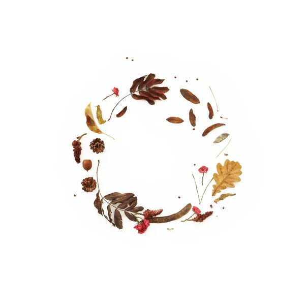Flores secas e composição de folhas. Quadro de outono natural no fundo branco — Fotografia de Stock