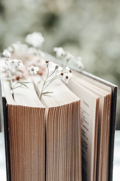 Livro velho com flores de campo como marcadores. Foto — Fotografia de Stock