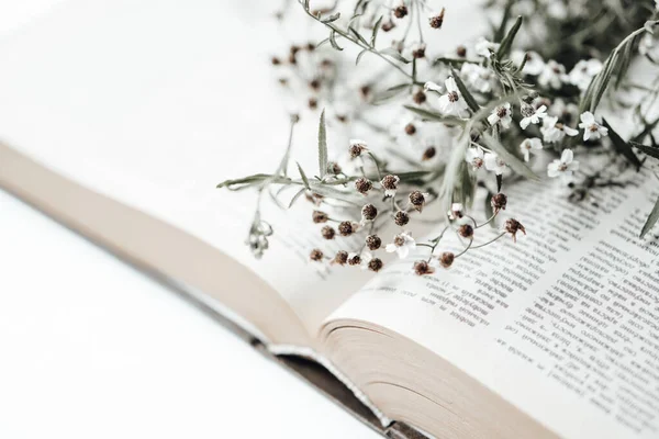 Open old book with field flowers on it — Stock Photo, Image