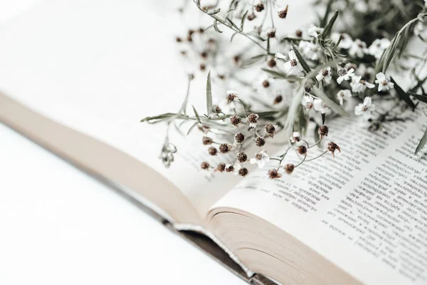 Abrir livro velho com flores de campo sobre ele — Fotografia de Stock