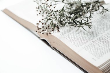 Üzerinde kır çiçekleri olan eski bir kitap aç.