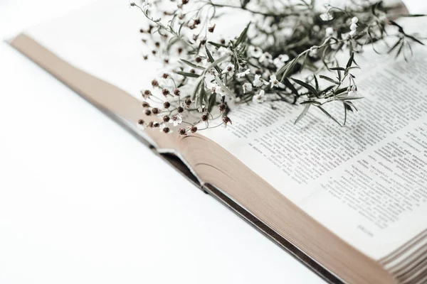 Abrir livro velho com flores de campo sobre ele — Fotografia de Stock