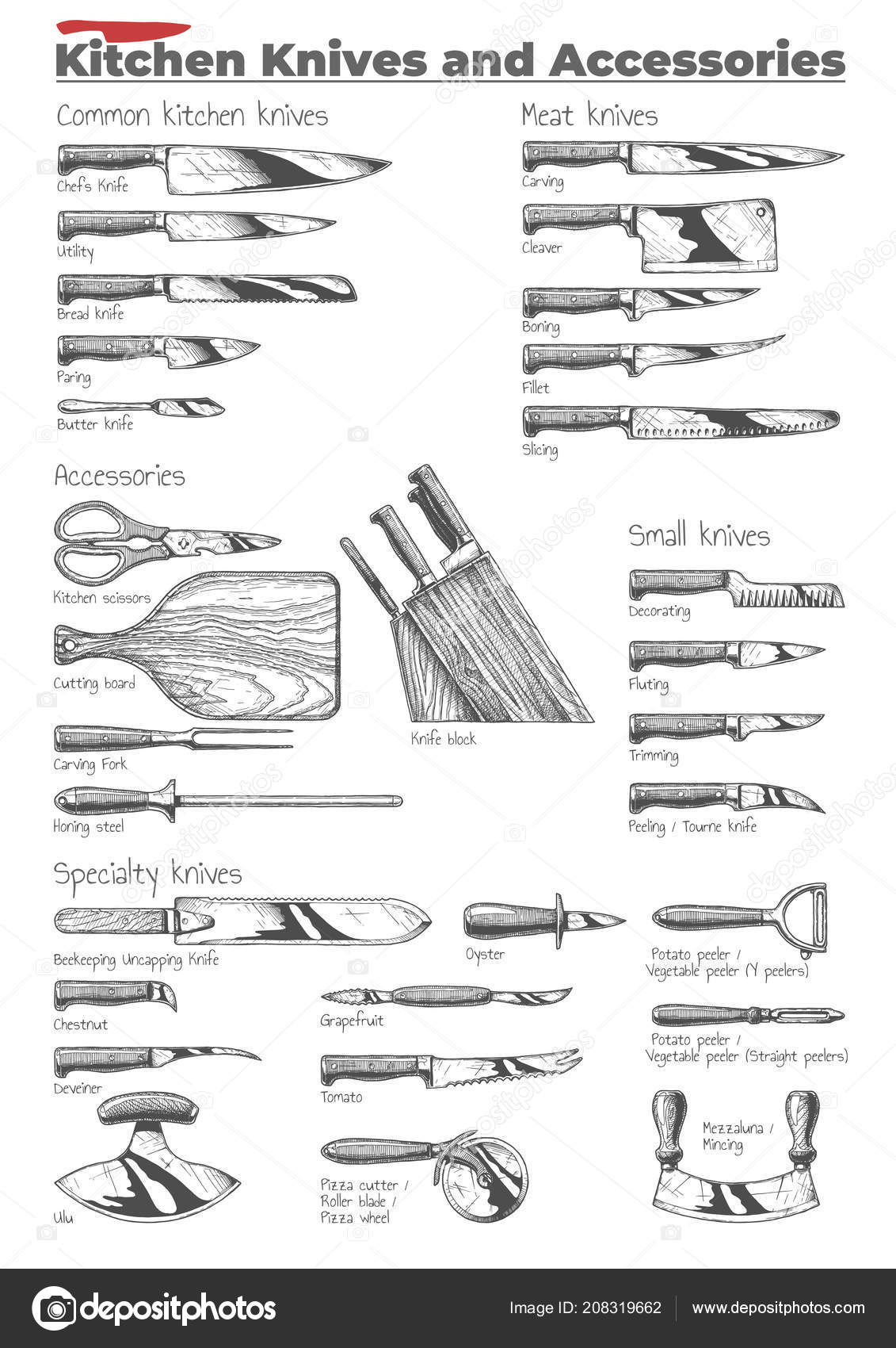 Kitchen Knives Accessories Vector Hand Drawn Illustration Vintage Engraved  Style Stock Vector by ©suricoma 208319662