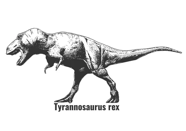 ベクトルが刻まれたヴィンテージスタイルのティラノサウルス レックスの描き下ろしイラストを手します — ストックベクタ