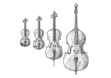 Vector hand drawn illustration of Bowed string instruments in vintage engraved style. Violin, Viola, Violoncello (Cello) and Contrabass (Double bass) clipart