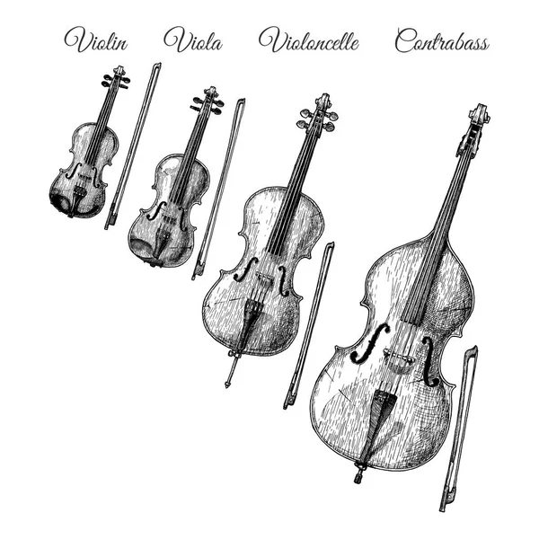 Vektor Handgezeichnete Illustration Von Streichinstrumenten Vintage Stil Violine Viola Violoncello — Stockvektor
