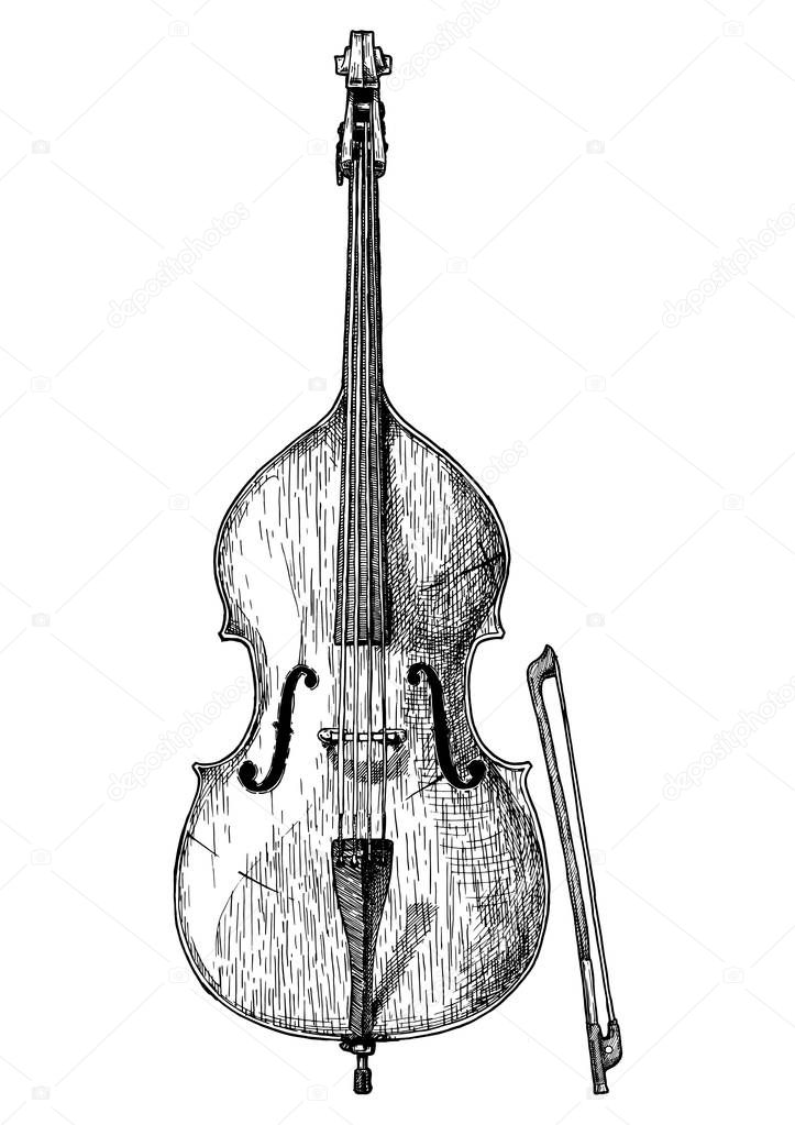 Vector hand drawn illustration of double bass in vintage engraved style. Isolated on white background.