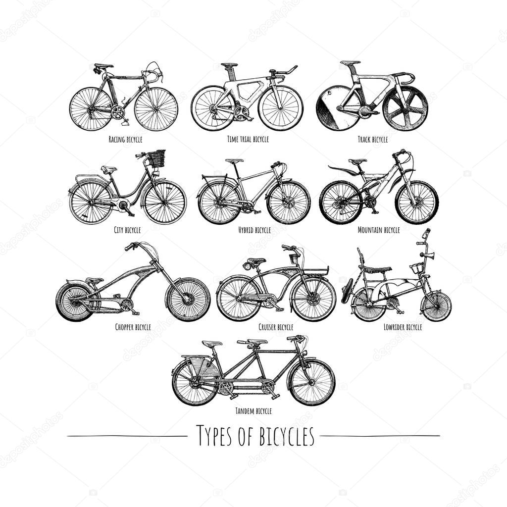 Types of bicycles. Vector hand drawn illustration of different bikes in vintage engraved style. Isolated on white background. 