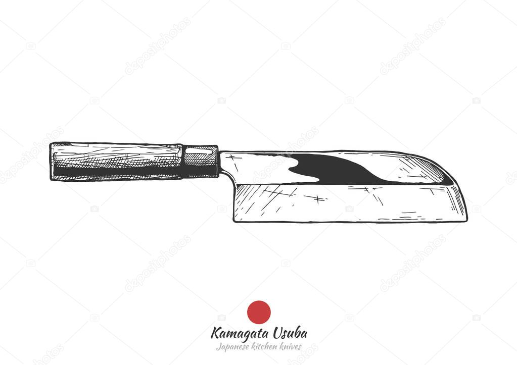Kamagata usuba, Japanese kitchen knife. Vector hand drawn illustration in vintage engraved style. Isolated on white background.