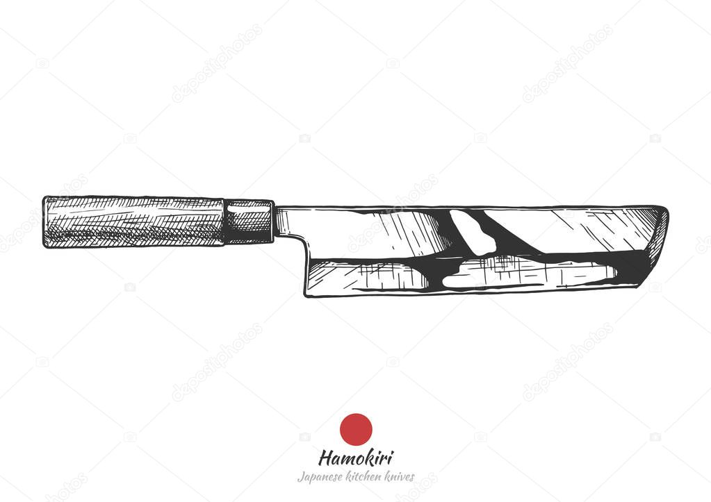 Hamokiri, Japanese kitchen knife. Literally pike conger cutter. Vector hand drawn illustration in vintage engraved style. Isolated on white background.