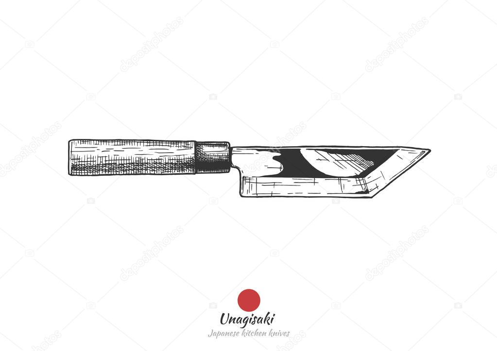 Unagisaki, Japanese kitchen eel knife. Vector hand drawn illustration in vintage engraved style. Isolated on white background.