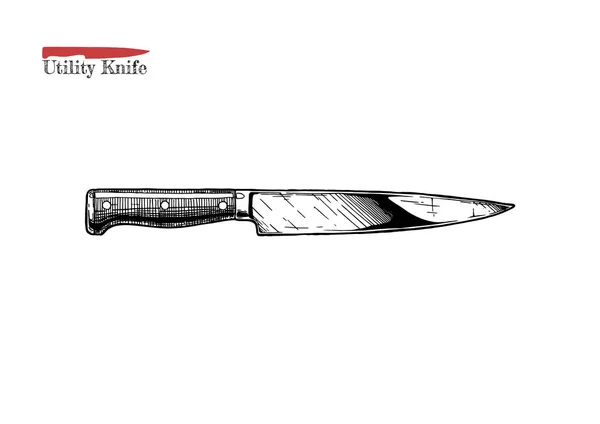 Vektor Ručně Tažené Ilustrace Kuchyně Nůž Stylu Vintage Ryté Izolované — Stockový vektor