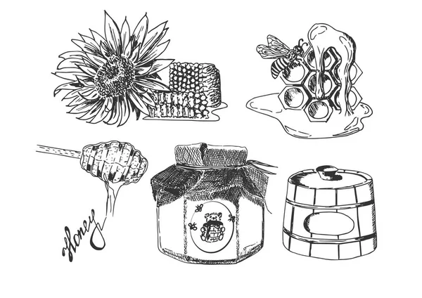 Vector Hand Drawn Set Apiary Sketches Sunflower Bee Honeycomb Birchbark Royalty Free Stock Illustrations