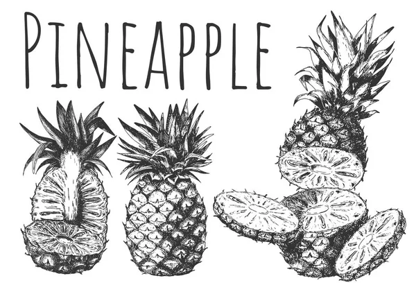 Ruční utopit tropické ovoce s ananasový řez — Stockový vektor