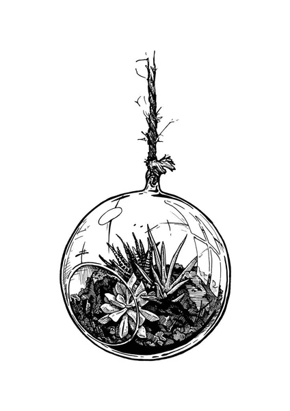 Planterade krukväxter i suspension glas boll set — Stock vektor