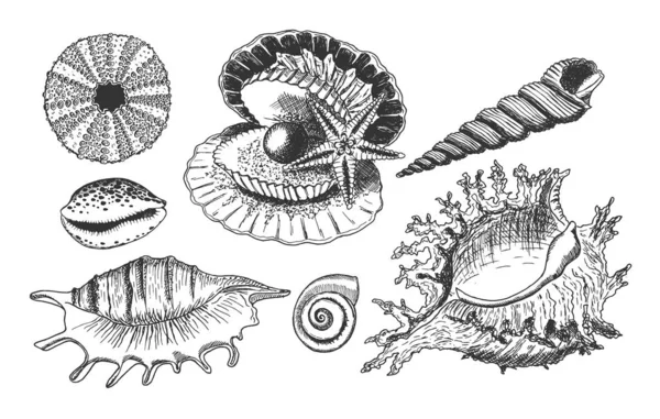 Tropische Muscheln unter Wasser Icon Set — Stockvektor