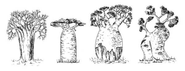 Diversi tipi di set di baobab africani — Vettoriale Stock