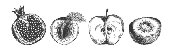 Frutti utili impostati in stile inciso — Vettoriale Stock