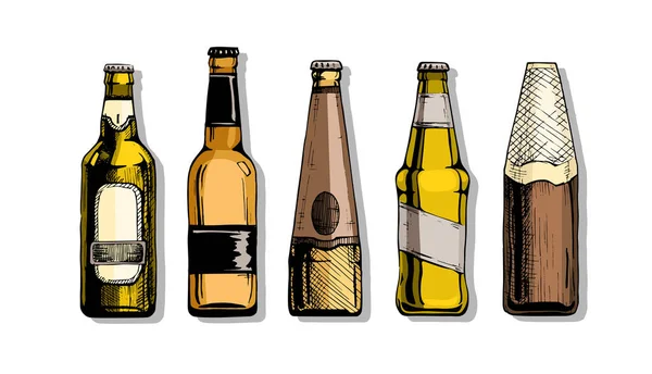 Set of Beer bottle — Stock Vector