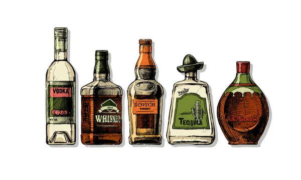 Conjunto Vectorial Botellas Alcohol Tinta Dibujada Mano Bebida Destilada Ilustración — Vector de stock