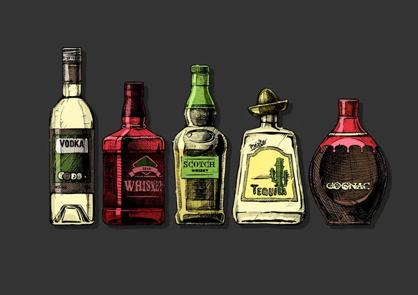 Bouteilles d'alcool. Boissons distillées — Image vectorielle