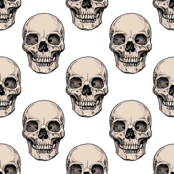 Pattern with human skull — Stock Vector