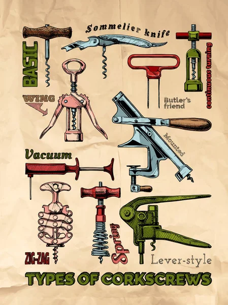 Types of corkscrews — Stock Vector