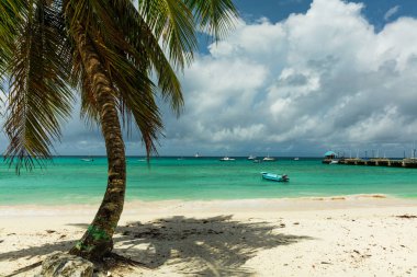Tekneler ve palmiye ağaçları Oistins balık pazarı: Barbados, Karayip Oistins balık pazarı: Barbados, Carribean arkasında
