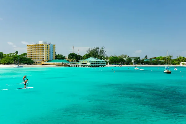 Wstać Paddleboard Jeźdźców Tropikalnej Plaży Barbados Caribbean — Zdjęcie stockowe