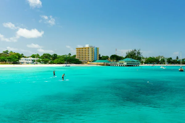 Ayağa kalkıp paddleboard biniciler: Barbados, Caribbean tropikal plaj