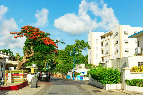 Renkli sahil tatil Karayipler Barbados'taki ile sokak